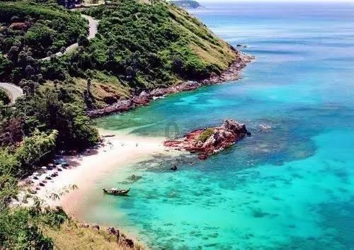 深圳一男子放任自家狗咬死流浪猫,你如何看待他的这番举动?-专业问答网站